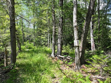 71 Jordan Ln, Turner, ME 04282 - photo 3