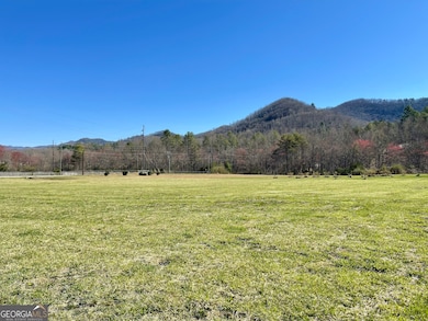0 Stella Ln unit 10485082, Rabun Gap, GA 30568 - photo 6