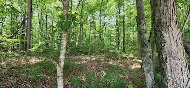 0 Yellow Cliff Rd unit 237124, Jamestown, TN 38556 - photo 4