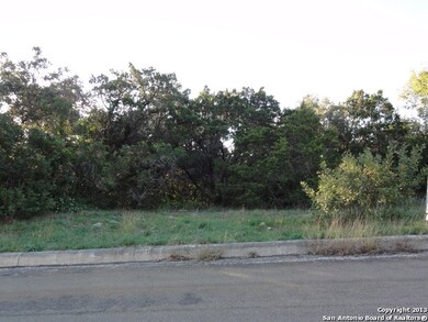 11226 Blue Waters, Helotes, TX 78023 - photo 2