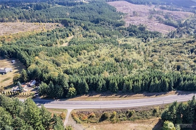 0 Lots 1-7 Spirit Lake Hwy, Castle Rock, WA 98611 - photo 4