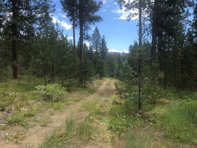 Driveway Into Property