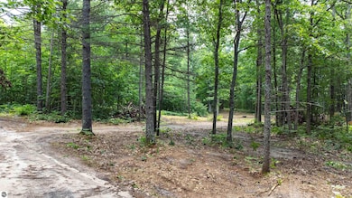 Parcel F Vans Ln, Fife Lake, MI 49633 - photo 3