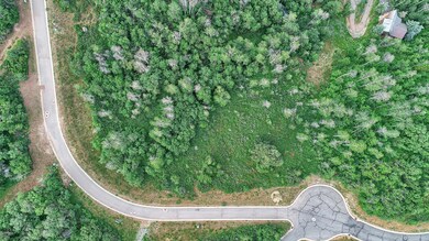 dji0003