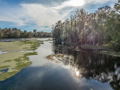 85 Saint Marks Rise Rd, Crawfordville, FL 32327 - photo 6