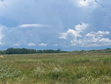 11403 Fm 1994 Rd, Guy, TX 77444 - photo 6