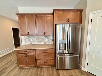 310 Emmy Ln, Hanover, MN 55341 - photo 3