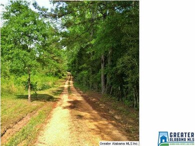 Beautiful road leading to the property