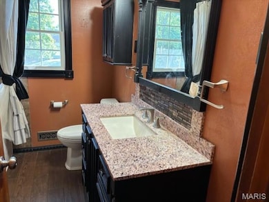 Bathroom with dark wood-style floors, vanity, and backsplash