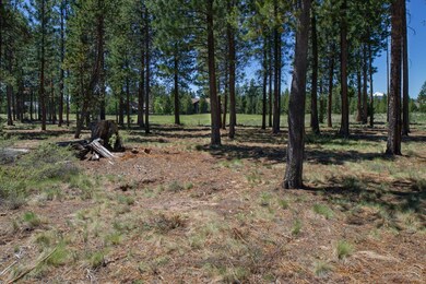 56691 Glowstone Loop, Bend, OR 97707 - photo 3