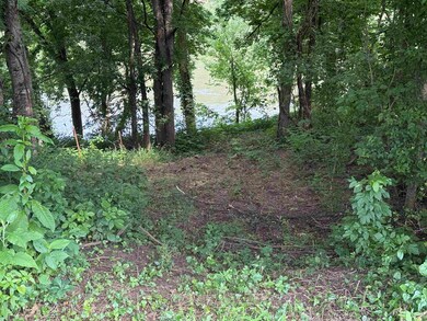 20 Allure Ln, Mountain View, AR 72560 - photo 4