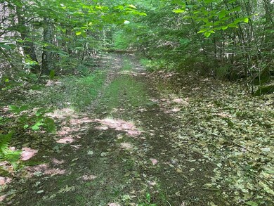 0 Old Rindge Rd unit 16-029-000 4916615, Fitzwilliam, NH 03447 - photo 3