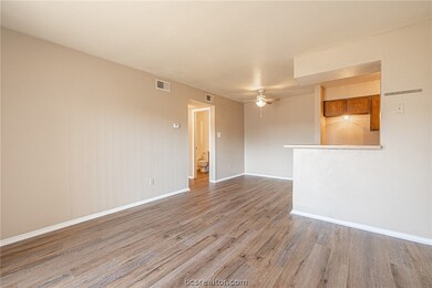 Cripple Creek Condos unit 9, College Station, TX 77840 - photo 3