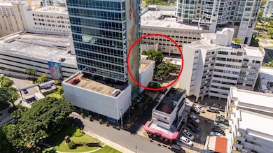 55 Las Palmeras, San Juan, PR 00901 - photo 4