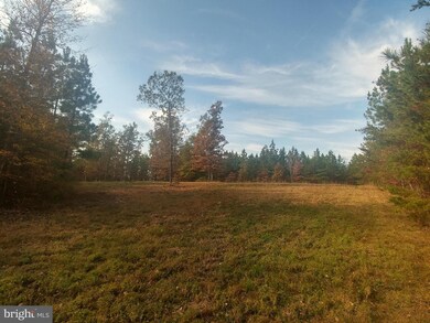 0 Carsons Corner unit 1000091757, Louisa, VA 23093 - photo 5