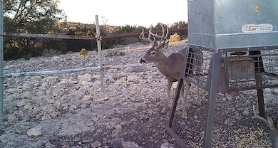 638-756 Sd 46820, Rocksprings, TX 78880 - photo 4