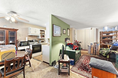 2610 Garfield Ave unit 101, Minneapolis, MN 55408 - photo 4