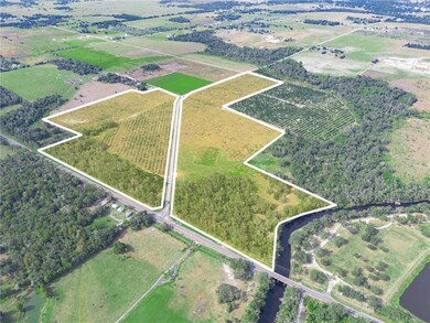 2485 S Florida Ave, Wauchula, FL 33873 - photo 3