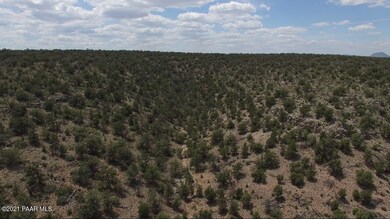 138 Arizona Rd, Ash Fork, AZ 86320 - photo 3