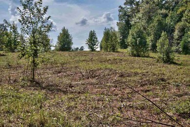 1201 Waterstone Dr, Madison, GA 30650 - photo 7