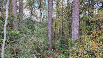 Wooded Lot 0.25 acres