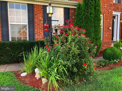 15121 Montanus Dr, Culpeper, VA 22701 - photo 3