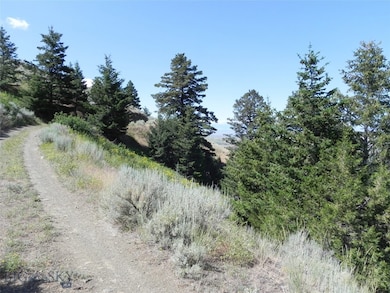 Lot 355 Pole Gulch Rd, Ponderosa Pines, MT 59752 - photo 4