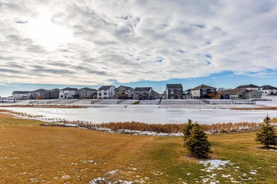 Pond View