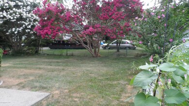 cepe myrtle 4