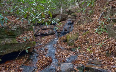 Additional View