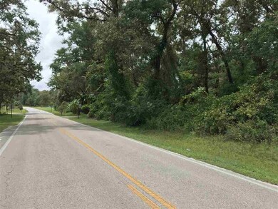 Lot 24 Friendship Church Rd, Crawfordville, FL 32327 - photo 5