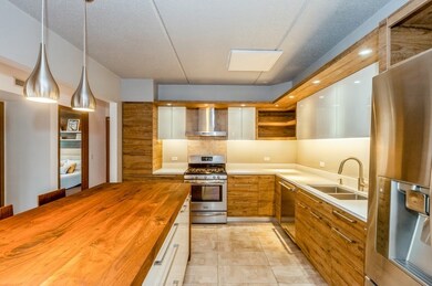 1325 Perry St unit 501, Des Plaines, IL 60016 - photo 3