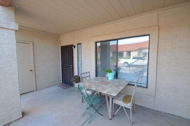 Patio and storage door