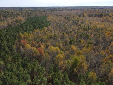 0 Old Highway 18 unit RTC2593446, Stewart, TN 37175 - photo 2