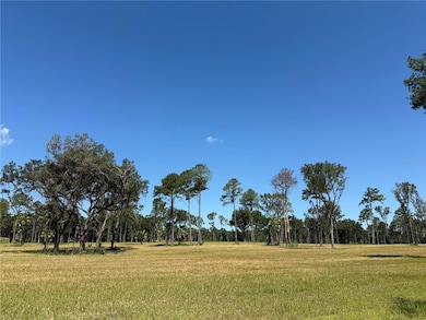 DR #8 (10ac) NW 193rd St, Micanopy, FL 32667 - photo 5