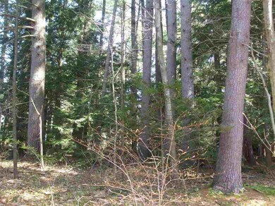 0 Tingley St unit Lot 140-32-0, Rochester, NH 03867 - photo 4