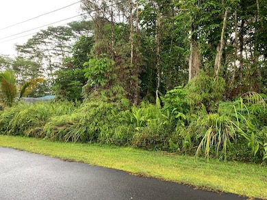 0 S Lai St unit 717712, Pahoa, HI 96778 - photo 4