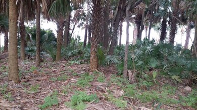 soileauslotvacant20150212213229337198000