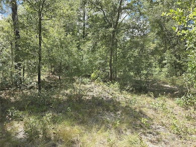 00 NE 150th Ct, Williston, FL 32696 - photo 3