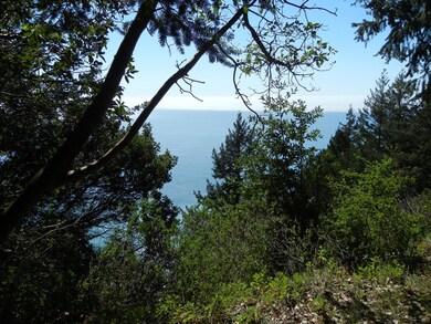 Blue Water View