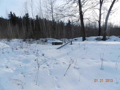 Yard/Garden.