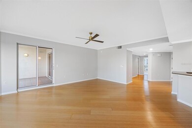 The GrandView unit 603, Tampa, FL 33602 - photo 4