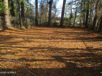 516 Williams St, Jacksonville, NC 28540 - photo 6