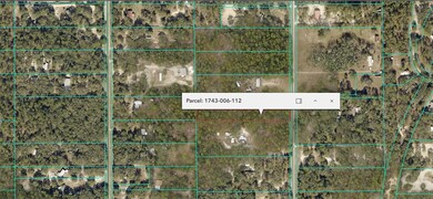 0 SW 178th Terrace unit MFROM708822, Dunnellon, FL 34432 - photo 4