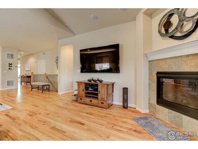 Fireplace/entertainment