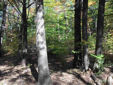 00 Loon Lake Rd, Plymouth, NH 03264 - photo 4