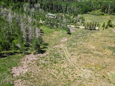 DJI_0774