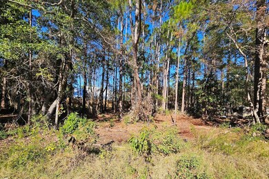 C21 KPatel Nikki Circle Surface Photo