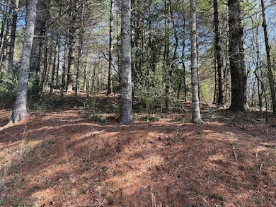 00 Appleberry Ln, Franklin, NC 28734 - photo 5