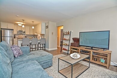 73 Walnut St unit 4, Newtonville, MA 02460 - photo 7